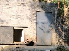 -都江堰中华大熊猫苑