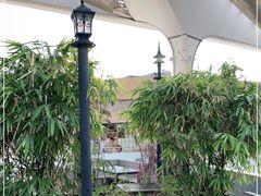 -蛙小侠(珠海华发商都店)