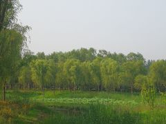 -东郊湿地公园