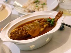 红烧河豚-肆月河豚·新淮扬(金融街店)