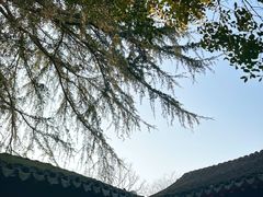 -秋霞圃