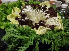 -井格重庆火锅(新世纪店)