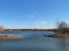 -东郊湿地公园