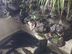 -风情丽江斑鱼火锅(孙家沟西南路80号店)