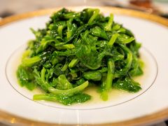 -蝶园·装修中(BFC外滩金融中心店)