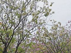 -海珠儿童公园