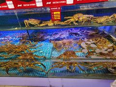 -驻海渔市(置信店)