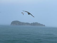 -海驴岛(荣成市)