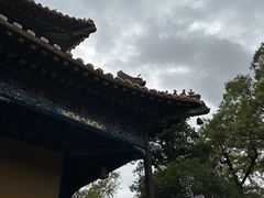 -普陀山风景区-佛顶山