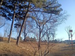 -北京西山国家森林公园