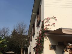 -悦哉·派对·草坪婚礼·围炉煮茶(三圣乡店)