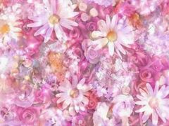 -蓝海国际大饭店·蓝钻自助百汇(兰山店)