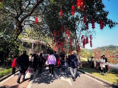 -国恩寺