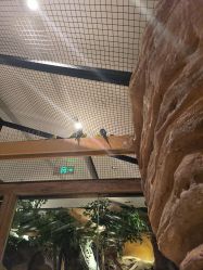 -造物庄园 萌宠纪(苏州湾歌林公园店)