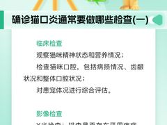 -瑞派申生动物医院·24H夜诊·国际动物医疗中心·骨外科(吴中路店)