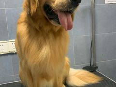 -太原东方动物医院(小店分院)