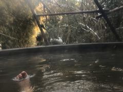 -仁爱团泊湖温泉中心