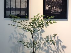 -宁波柏悦酒店·钱湖渔港