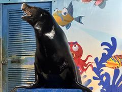 -太平洋海底世界