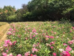 -杏花村文化旅游区