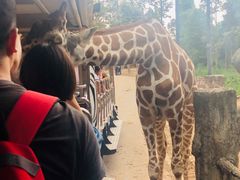 -清迈夜间动物园