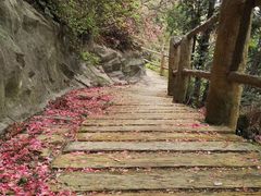 -木兰云雾山