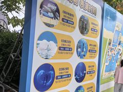 -秦皇岛乐岛海洋王国