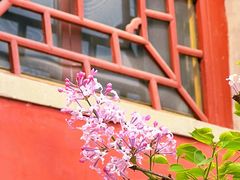 -潭柘寺景区