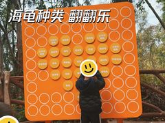 -广东惠东海龟国家级自然保护区