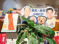 -新华文创·光的空间