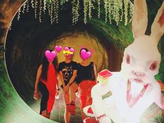 -爱丽丝冒险奇遇记