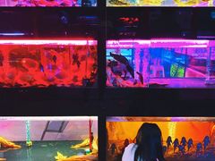 -中环花鸟鱼虫市场