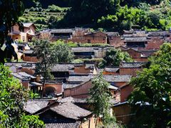-杨家堂村