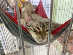 -乐宠宠物店(世纪金源店)