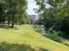 -两河城市森林公园