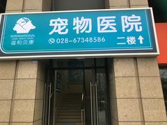 -谐和贝康宠物医院24小时·宠保定点(急重症转诊中心)