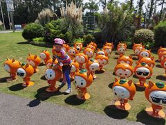 -上海长兴岛郊野公园