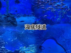 -海合安天津极地海洋公园