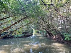 -大湾区中央湿地公园