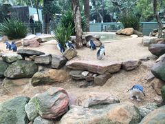 -费瑟代尔野生动物园