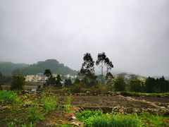 -长隆农庄