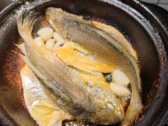 砂锅焗黄鱼-恭喜上堓砂锅焗·海鲜大排档(闵行龙湖店)