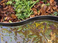 -榕江牛瘪牛肉火锅(东新路店)