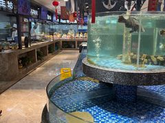 -海派美食·家宴海鲜青岛菜·石锅鲽鱼头(东方城店)