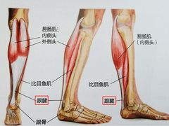 -御灸堂古法艾灸(东坝店)