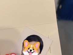 -白箱照相馆·外拍