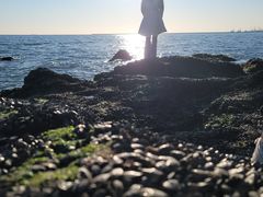 -碣石国家级海洋公园