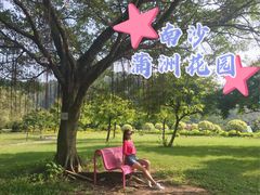 -南沙蒲洲花园