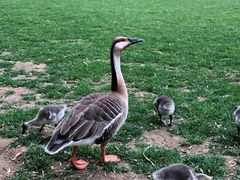 -银树楼(紫玉山庄东区店)