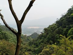 -牛鱼嘴原始生态风景区
